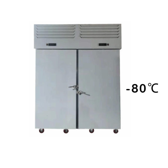 Prosky 40 Trays SAGA 1250L -80 ℃ Professional Ice Block Blast Freezer Chiller for Fish And Chicken