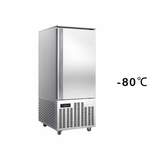 Prosky SAGA 600L 16 Trays Stainless Steel Ice Block Commercial Blast Freezer Chiller for Meat