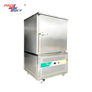 Small Air Professional Blast Chiller
