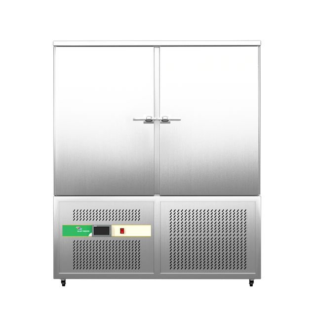 Prosky SAGA 610L Industrial Precision Food Blast Chiller Freezer with Panel