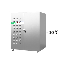 Prosky SAGA 830L Commercial Industrial Upright Food Blast Chiller Freezer with Refrigerator